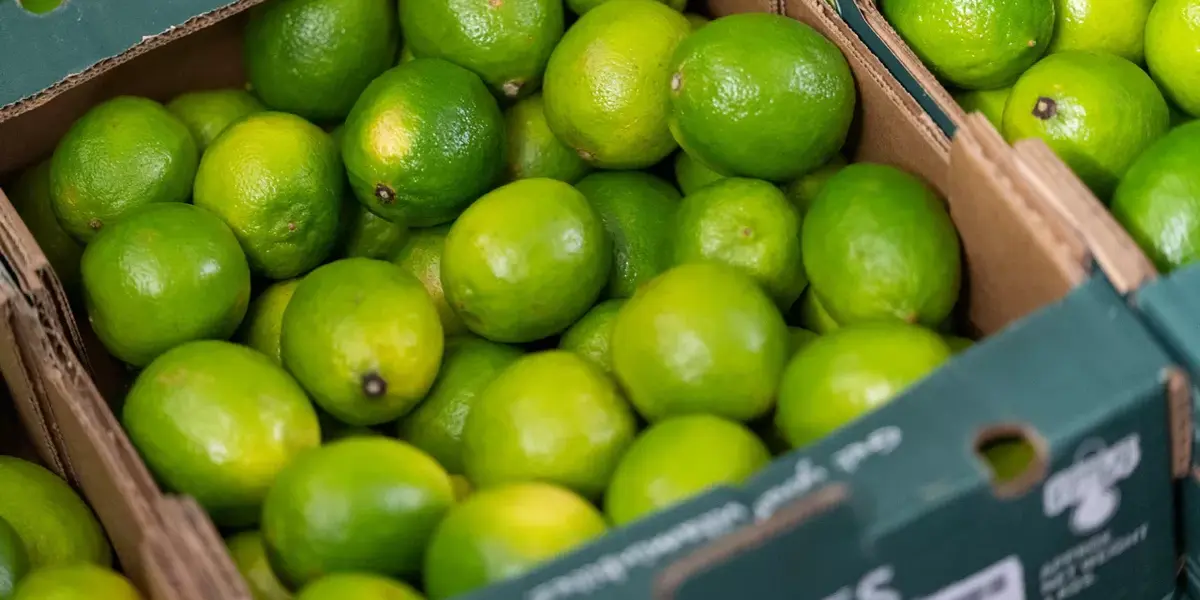 Eine Kiste Limetten