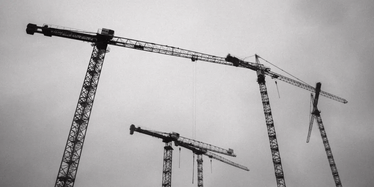 Kr&auml;ne mit wolkenbehangenem Himmel